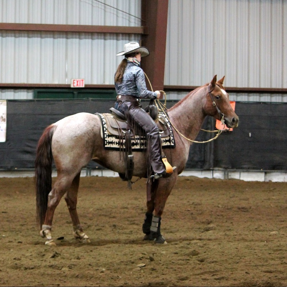 Meet your Posher, Erin